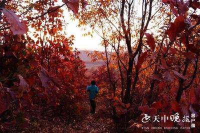 泌陽周邊山