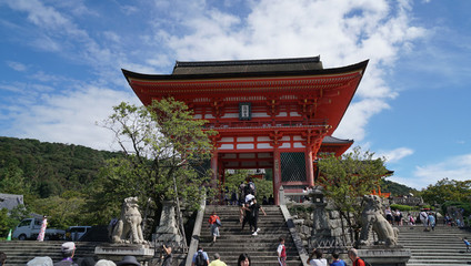 東京-富士山自由行攻略