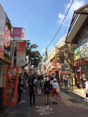 東京-富士山自由行攻略