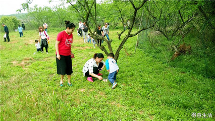 武漢周邊農(nóng)莊一日游