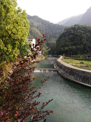 2月青田旅游攻略