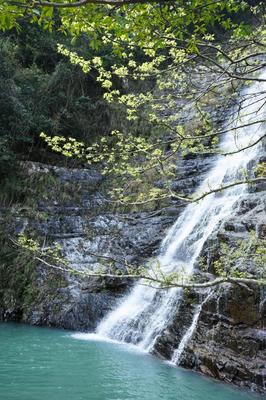 2月青田旅游攻略