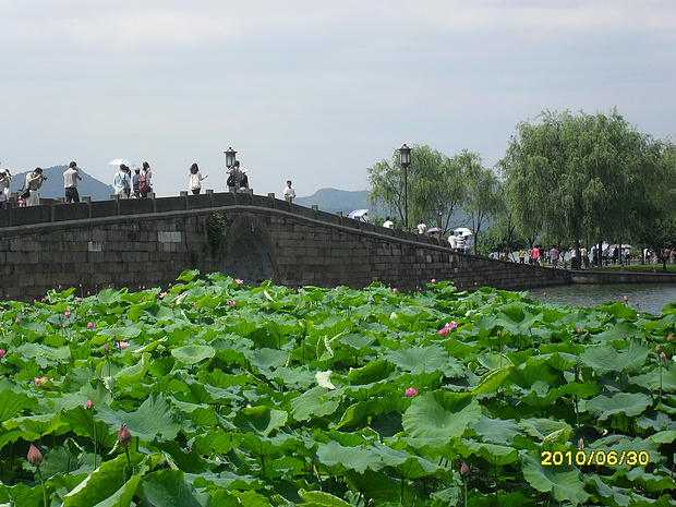 杭州西湖晚上旅游攻略