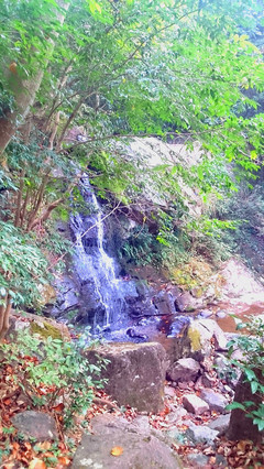 野鶴湫景區(qū)游玩攻略