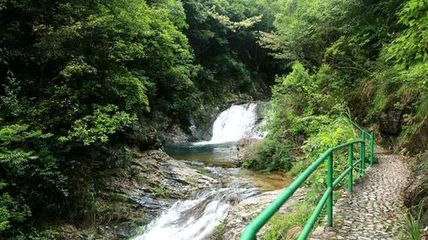 野鶴湫景區(qū)游玩攻略