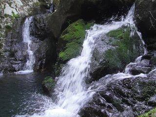 野鶴湫景區(qū)游玩攻略