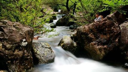 野鶴湫景區(qū)游玩攻略