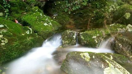 野鶴湫景區(qū)游玩攻略