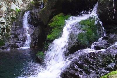 野鶴湫景區(qū)游玩攻略