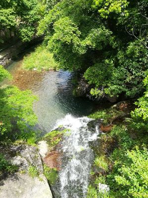 野鶴湫景區(qū)游玩攻略