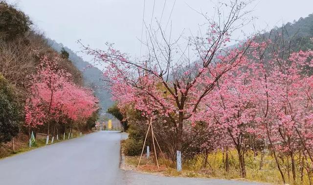 安寧周邊自駕游一天