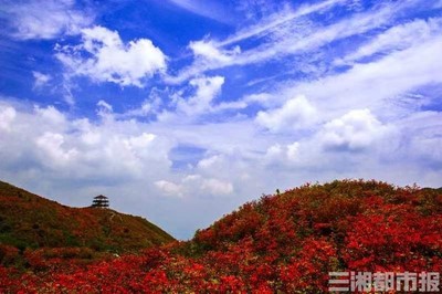 瀏陽(yáng)大圍山冬季旅游攻略