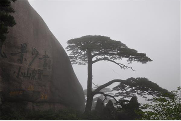 青島到黃山自駕旅游攻略