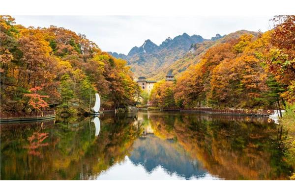 秋天去洛陽(yáng)旅游攻略