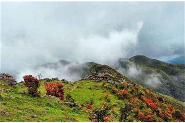 新興縣天露山登山攻略