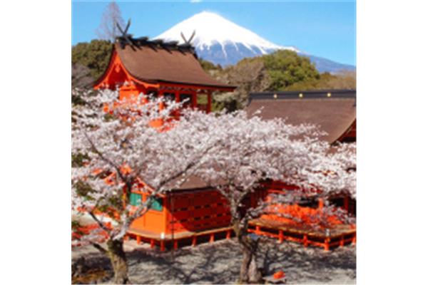 日本箱根湯本旅游攻略