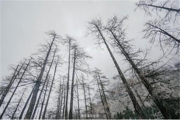 成都周邊有哪些風(fēng)景 成都周邊風(fēng)景最好的地方