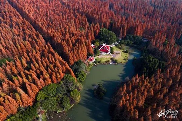 上海東平國家森林公園攻略 崇明島有哪些好玩的旅游攻略?